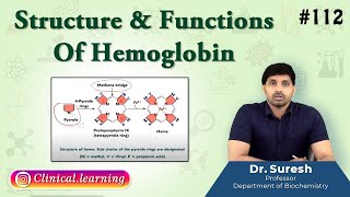 112 Structure amp Functions Of Hemoglobin [upl. by Irek946]