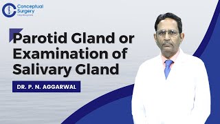 Parotid Gland or Examination of Salivary Gland by Dr P N Aggarwal [upl. by Fedirko]