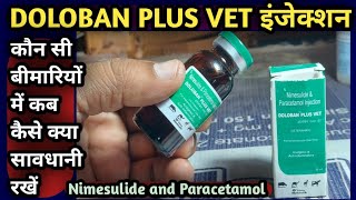 DOLOBAN PLUS VET InjectionNimesulide amp Paracetamolपशुओं को कौन सी बीमारी में कब कैसे लगाएं [upl. by Zicarelli225]