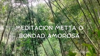 Meditación Metta o Bondad Amorosa [upl. by Ilak]