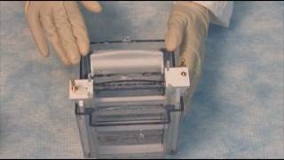 How to set up a Western part 2  Running The Gel on the XCell SureLock® system [upl. by Llertrac363]