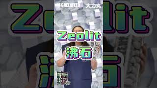 Baja Greenfeed Sebagai Perapi Tanah 大力丸可调节土壤 greenfeed 大力丸 bajagreenfeed taaiuram fypシ゚ [upl. by Gemperle578]