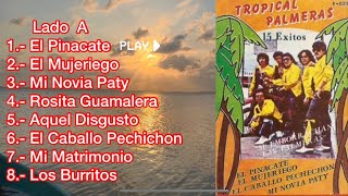 Tropical Palmeras De Tampico  15 Exitos Lp COMPLETO [upl. by Tierney]