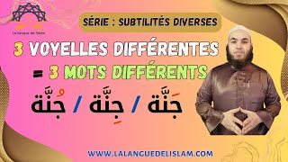 Subtilité n°11 3 Voyelles Différentes  3 Noms Différents جَنَّة  جِنَّة  جُنَّة [upl. by Blau]