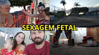 Sexagem fetal  Tudo quase pronto para o Chá revelação  Vlog do dia [upl. by Bruno]