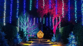 A Longwood Christmas Lights up the Night with Half a Million Lights 2022 [upl. by Neerhtak]