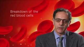 What is Sickle Cell Disease [upl. by Claudio894]