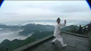 WUDANG Tai Chi 28 Movements by Wang Zhi Qiang [upl. by Friedlander]