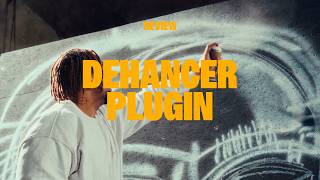 Color Grading mit Dehancer  Dehancer Review [upl. by Ynavoj]