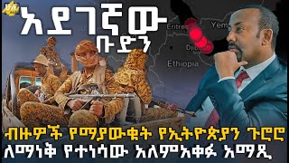 ብዙዎች የማያውቁት የኢትዮጵያን ጉሮሮ ለማነቅ የተነሳው አለምአቀፉ አማጺ  HuluDaily ሁሉዴይሊ [upl. by Ahsinotna]