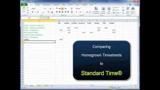 Excel Timesheets [upl. by Ellivro930]