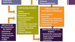 Análisis y descripción de puestos [upl. by Adnovahs]