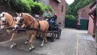 Haflinger paarden voor de koets in Mofert met opa [upl. by Akienahs]