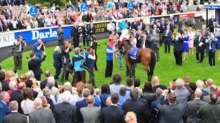 Great moments from the Juddmonte Irish Oaks [upl. by Ntsud874]