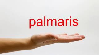 How to Pronounce palmaris  American English [upl. by Bjorn]