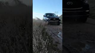 2021 Infiniti QX80 Off Road Shorts [upl. by Daphie256]