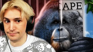 The Ape That San Diego Zoo Couldn’t Contain  xQc Reacts [upl. by Gretel]