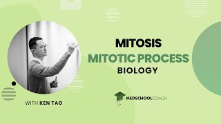 Mitotic Process [upl. by Grim]