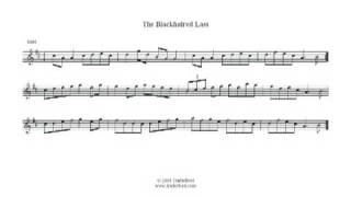 The Blackhaired Lass  Reel on Irish flute [upl. by Amek]