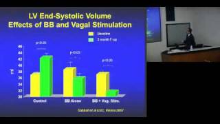 Vagus Nerve Stimulation [upl. by Ahcsat300]