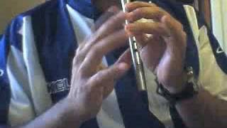 Donnybrook Fair Tin Whistle [upl. by Eatnad]