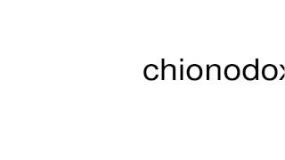 How to pronounce chionodoxa [upl. by Corley417]