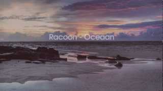 Racoon  Oceaan uit de film Alles is Familie [upl. by Lateh]