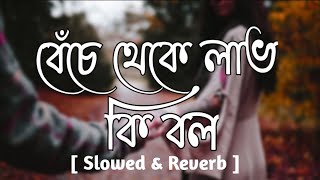 Benche theke labh ki bol  বেঁচে থেকে লাভ কি বল  Slowed amp Reverb   Arijit Singh Gallery Of Music [upl. by Marlena797]