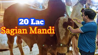 Bakra Mandi 2024  Sagian Mandi Lahore  Lahore Bakra Mandi Ki Update  Lahori Life [upl. by Eggleston802]