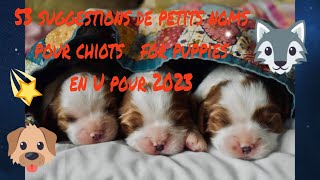 🥰🐶 quel petit nom pour mon chiot  for my puppy 53suggestions de prénoms chiots pour 2023 en U [upl. by Ardua368]