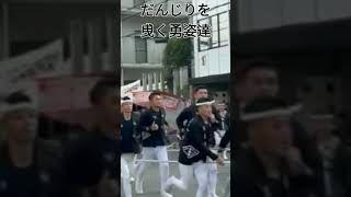 ケヤキの神だんじり祭青年団勇ましいショート無言ねこ [upl. by Dunton161]