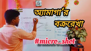 অ্যামাগার বক্ররেখা  MICRO SHOT  HSC  Chemistry 2nd Paper  Chapter1  Ratul Sir [upl. by Petulia]