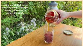 Making Sumac Cough Syrup amp Lemonade [upl. by Ainocal]