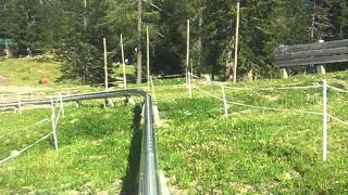 Sommerrodelbahn Nassfeld  Hermagor System Brandauer [upl. by Aiekahs]