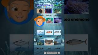 🌊 Sea Creatures Part 2 🐠  Learn English  Daily English Words  shorts [upl. by Jada]