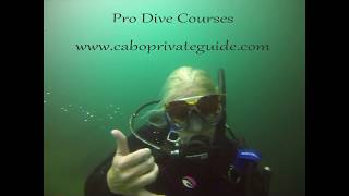 Divemaster Course Cabo San Lucas [upl. by Eednak]