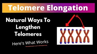 Lengthen Telomeres Naturally Heres How To Do It [upl. by Ricardo719]