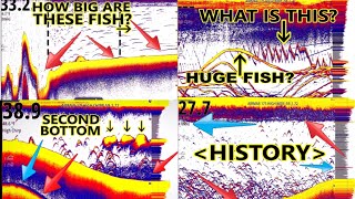 Sonar for Beginners Fish finders for Dummies MORE Lessons added PLUS SIDE SCAN Explained Simrad [upl. by Shiller859]