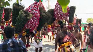 Nallur Kavadi 2023 Nallur Festival Theertha Thiruvila 2023 Nallur Kanthaswamy kovil6 [upl. by Warren]