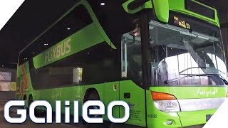 Flixbus  Wie wurde das Startup so erfolgreich  Galileo  ProSieben [upl. by Ydennek55]