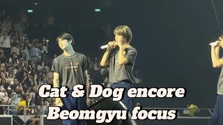 240907 TXT Beomgyu Cat amp Dog  Encore ACTPROMISE in Singapore  투모로우바이투게더 범규 [upl. by Niwhsa933]