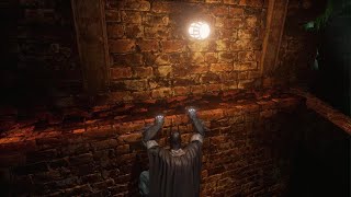 Search for Dr Young  Batman Arkham Asylum [upl. by Anniken623]