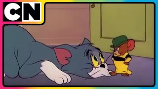 Tom amp Jerry 😺🐭  Million Dollar Chaos Faction  Cartoon for Kids  Only on Cartoon Network [upl. by Ecnahs]