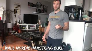 Nordic Hamstring Curl at Home [upl. by Hnid]