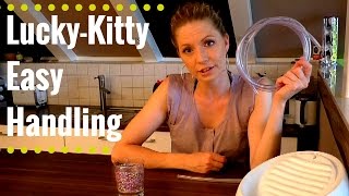 Lucky Kitty Trinkbrunnen Tipps ampTricks zur Reinigung amp Handling [upl. by Dippold493]