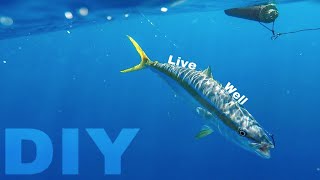 How to make a DIY live well baitube bait tank  Mackerel scad Goggle eyes and Ballyhoo [upl. by Buna]