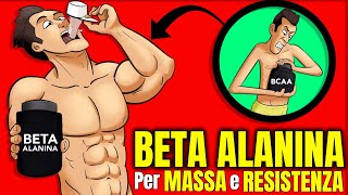 BETA ALANINA per MASSA e ENDURANCE❌NON prenderla in questa situazione❌ [upl. by Dru]