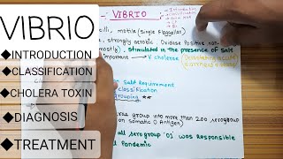 Video no14 Vibrio cholera  introduction classifications cholera toxin diagnosis treament [upl. by Stiruc]