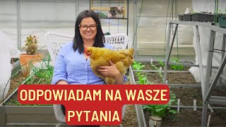 ODPOWIADAM NA WASZE PYTANIA QampA [upl. by Aicirtel]