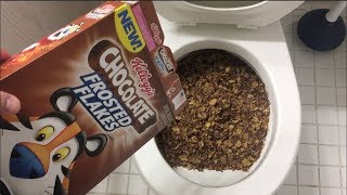 Will it Flush  Chocolate Frosted Flakes [upl. by Marcell]